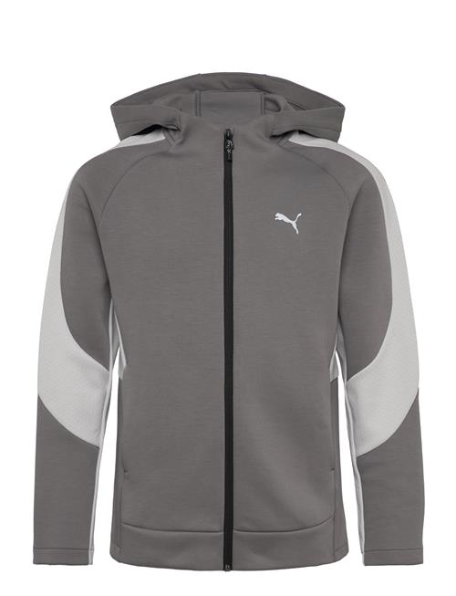 Evostripe Full-Zip Hoodie Dk B PUMA Grey