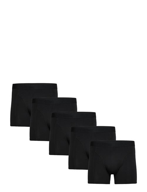 Claudio 5-Pack Tights Claudio Black