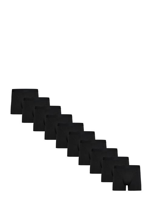 Claudio 10-Pack Tights Claudio Black
