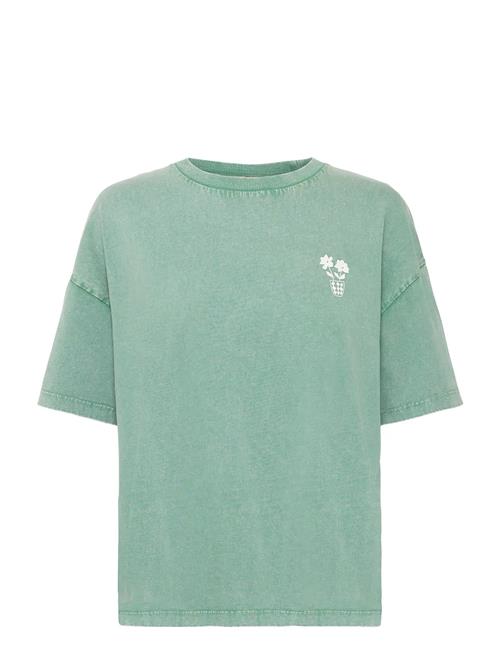 Ihnabino Ss4 ICHI Green