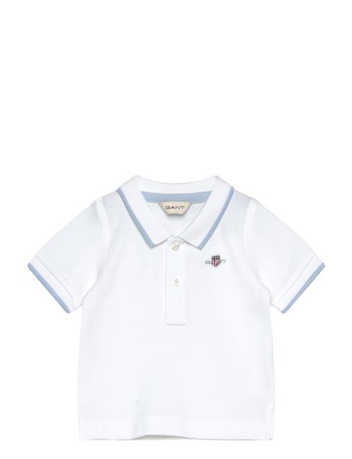 Contrast Tp Ss Pique Rugger GANT White