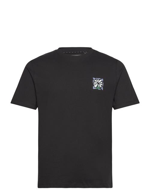 Abstarct Flower French Connection Black