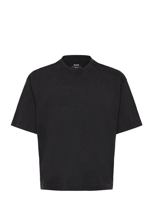 Hco. Guys Knits Hollister Black