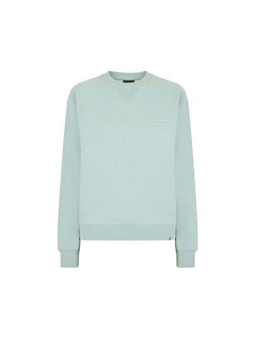 DICKIES Sweatshirt 'CLANCY'  mint / hvid