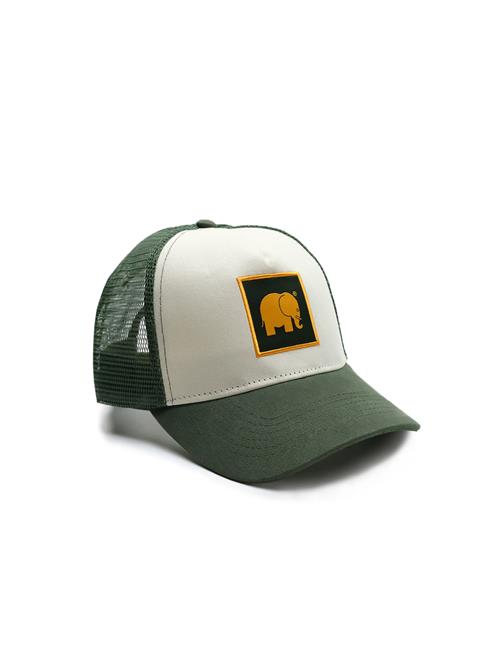 Trendsplant Hætte ' CLASSIC TRUCKER '  grøn