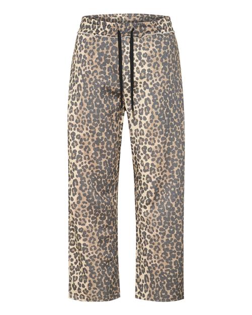 CULTURE Bukser  beige / chamois / grå