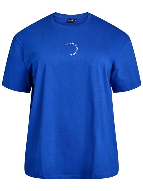 Se Active by Zizzi Shirts 'Cenja'  blå / hvid ved About You