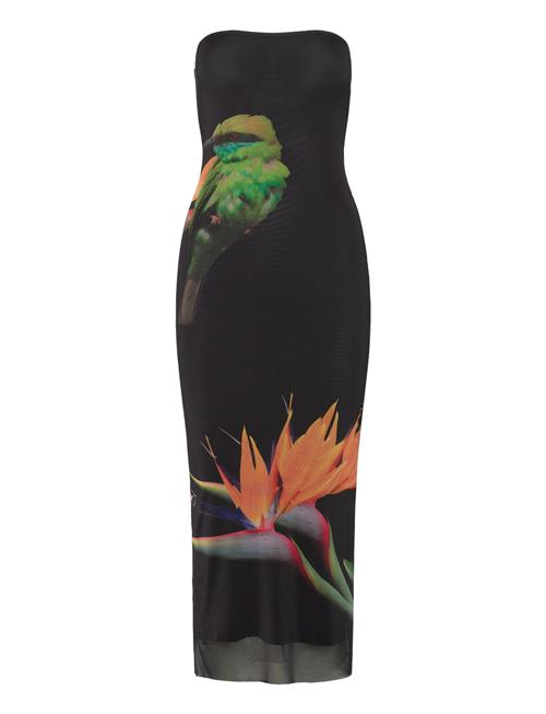 Colibrí Strapless Desigual Black