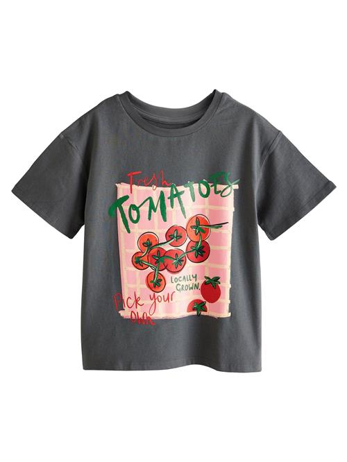 Next Bluser & t-shirts  grå / blandingsfarvet