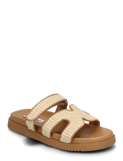 Missile Sandal Steve Madden Beige
