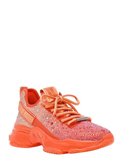 Mistica Sneaker Steve Madden Coral