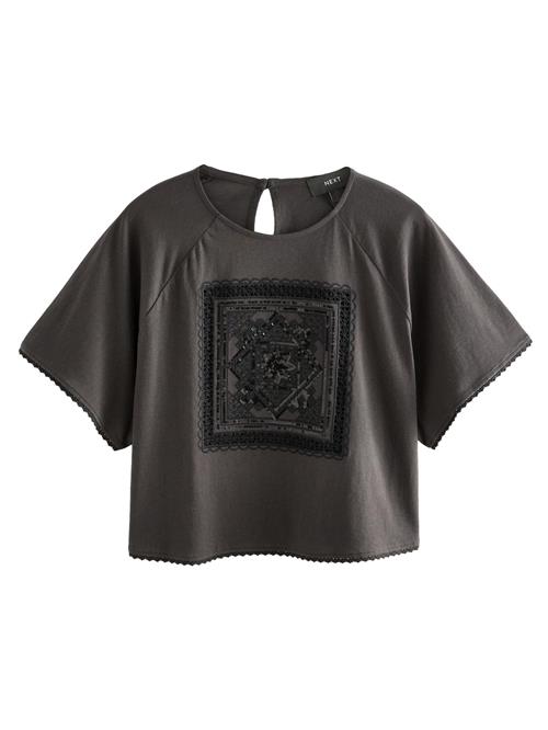 Next Shirts  basalgrå / mørkegrå