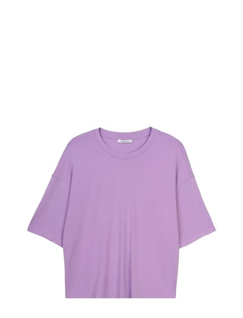 Short Sleeve Jersey, Jenen Ivo Nikkolo Purple