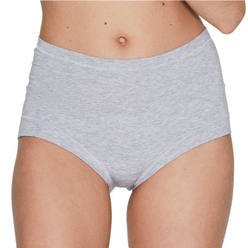 JBS of Denmark Trusser Bamboo Maxi Brief Lysegrå X-Small Dame
