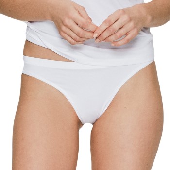 JBS of Denmark Trusser Organic Cotton Tai Brief Hvid økologisk bomuld Medium Dame