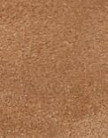 UGG - Brun - W Scuffette II