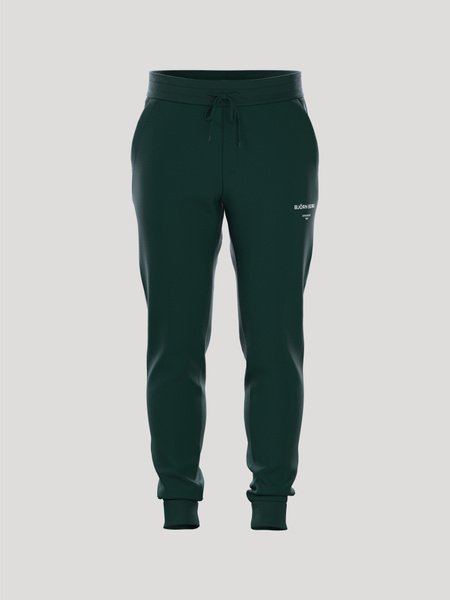 Björn Borg Borg Essential Pants Grøn, XL