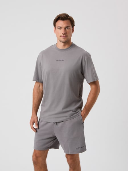 Björn Borg Borg Classic T-shirt Grå, XL