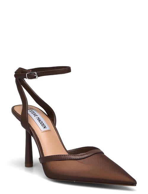 Alliance-M Heel Steve Madden Brown