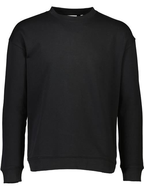 Lindbergh Sweatshirt