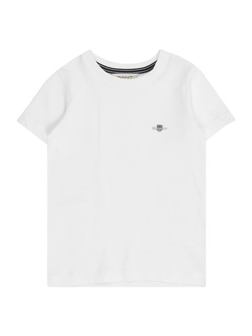 GANT Shirts  hvid