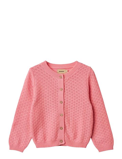 Knit Cardigan Magnella Wheat Pink
