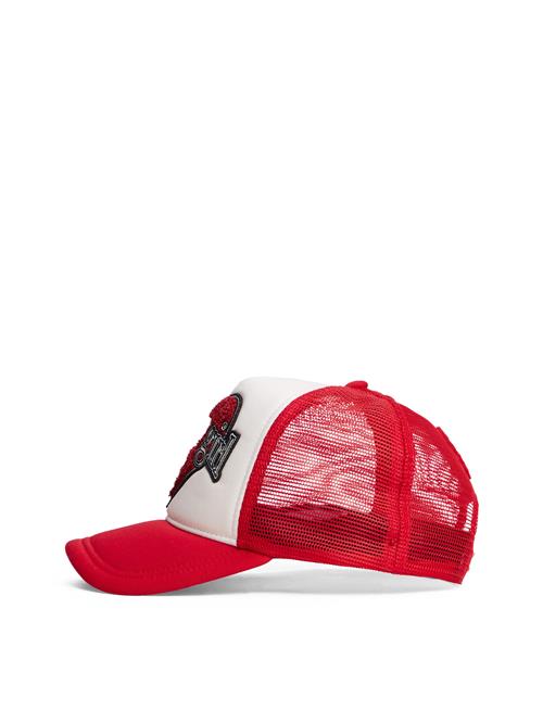 Tommy Jeans Hat  lysegrå / brandrød / sort / hvid