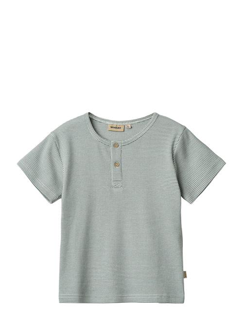 T-Shirt S/S Lumi Wheat Green