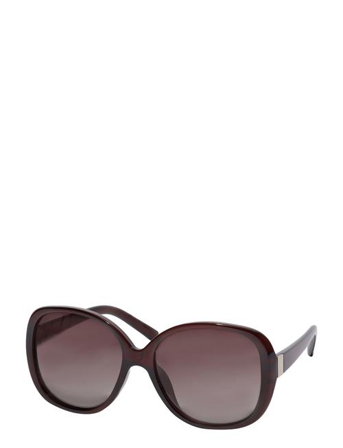 Parker Over D Retro Sunglasses Brown Pilgrim Brown