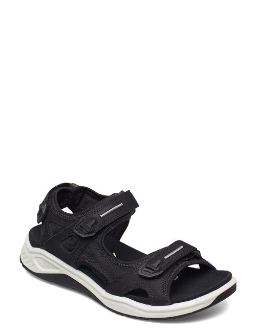 X-Trinsic K ECCO Black