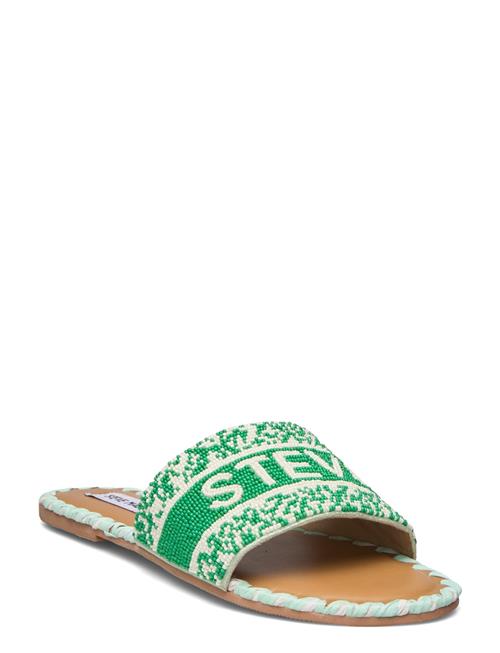 Verah Sandal Steve Madden Green