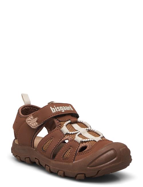 Bisgaard Parker Bisgaard Brown