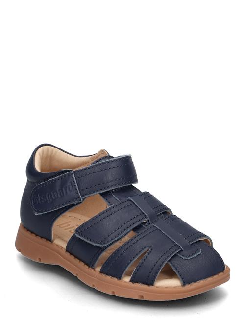 Bisgaard Frans Bisgaard Navy