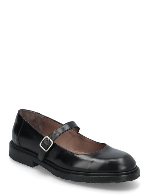 Beta Wonders Black