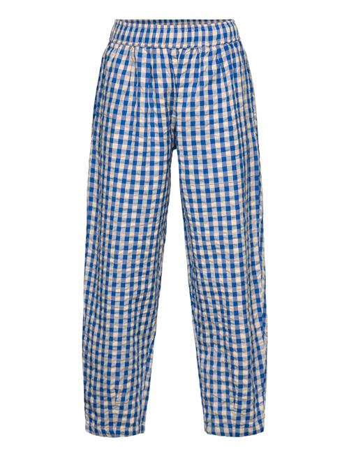 Tnnally Carrot Pants The New Blue