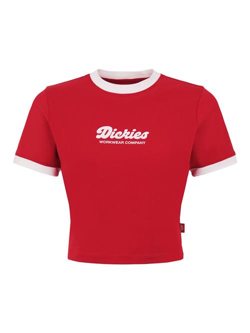 DICKIES Shirts 'LEWISTOWN'  rubinrød / hvid
