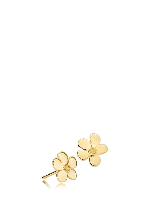 Pansy Izabel Camille Gold