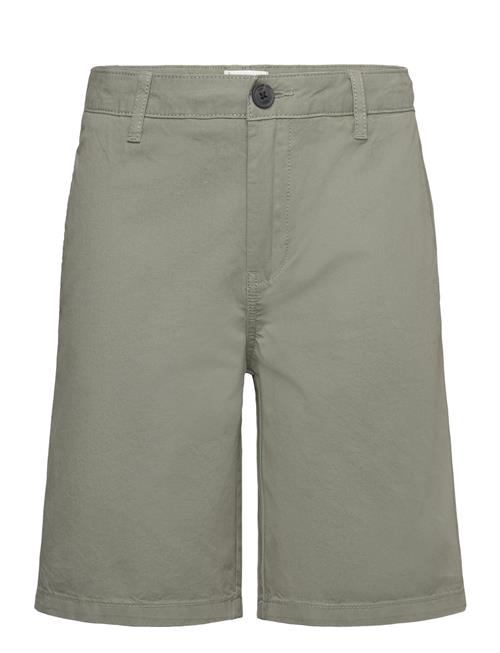 Slim-Fit Chino Cotton Bermuda Shorts Mango Green