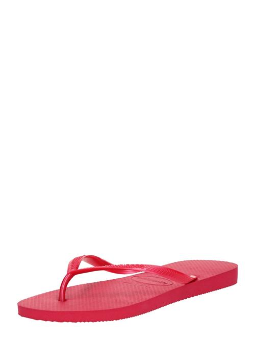 HAVAIANAS Klipklappere 'Slim'  purpur