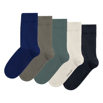 Björn Borg Strømper 5P Essential Ankle Sock Blå/Hvid Str 41/45 Herre