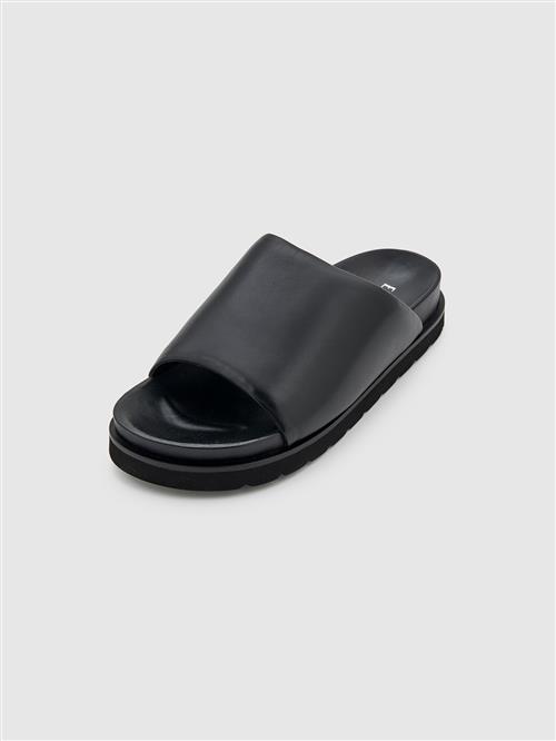 EDITED Slipper 'Mirea'  sort