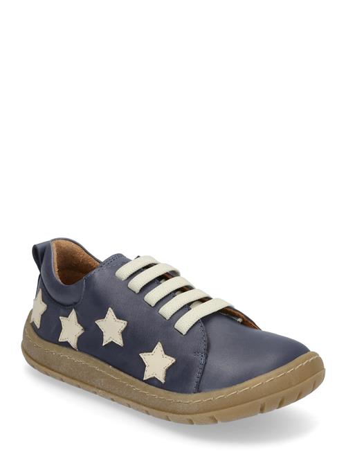 Shoes - Flat - With Lace ANGULUS Navy
