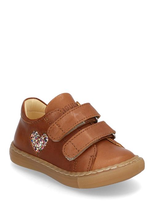 Shoes - Flat - With Velcro ANGULUS Brown