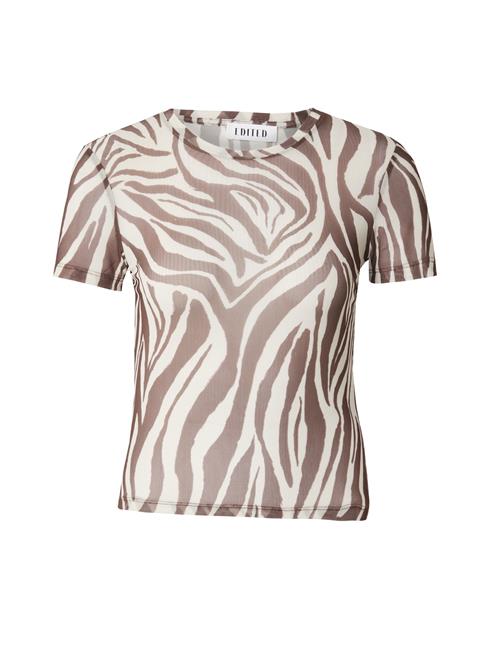 EDITED Shirts 'Hauke'  brun / hvid