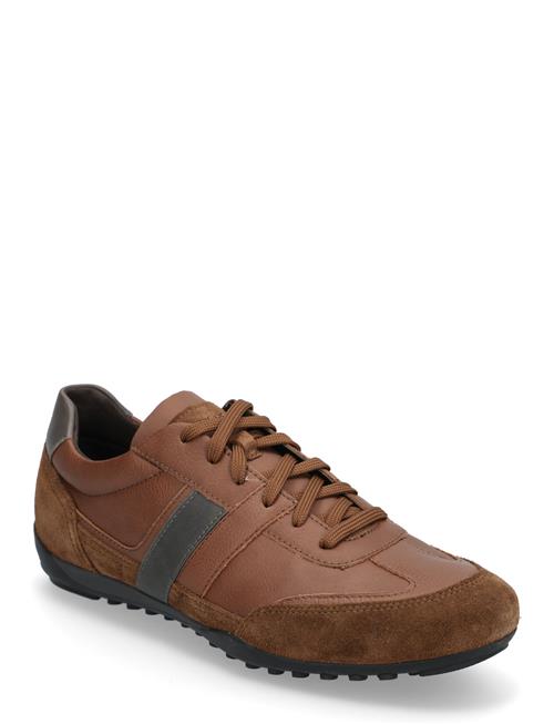 U Wells A GEOX Brown