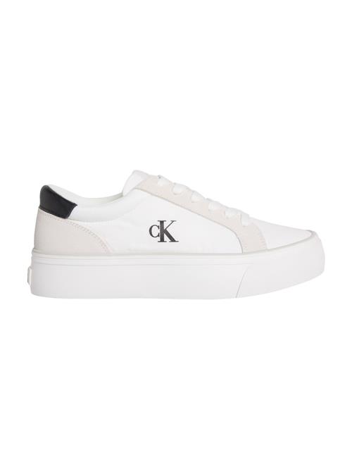 Calvin Klein Jeans Sneaker low  kit / sort / hvid