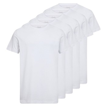 Claudio 5P Cotton T-Shirt Hvid bomuld Large Herre