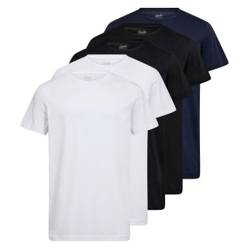 Claudio 5P Cotton T-Shirt Flerfarvet bomuld Small Herre