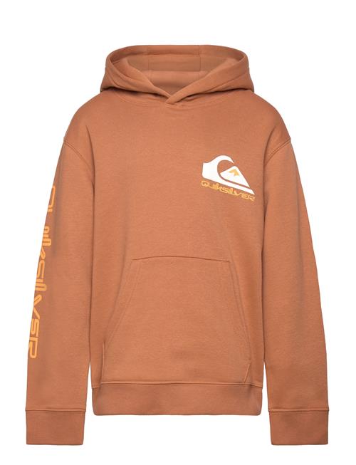 Omni Logo Hoodie Youth Quiksilver Brown