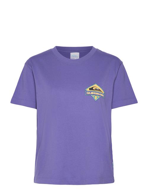 Standard Ss Tee Quiksilver Purple